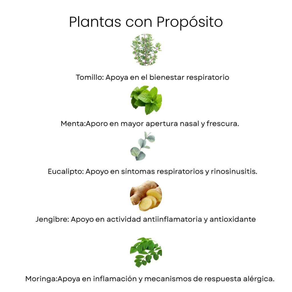 Kit Respiratorio