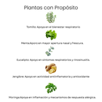 Kit Respiratorio