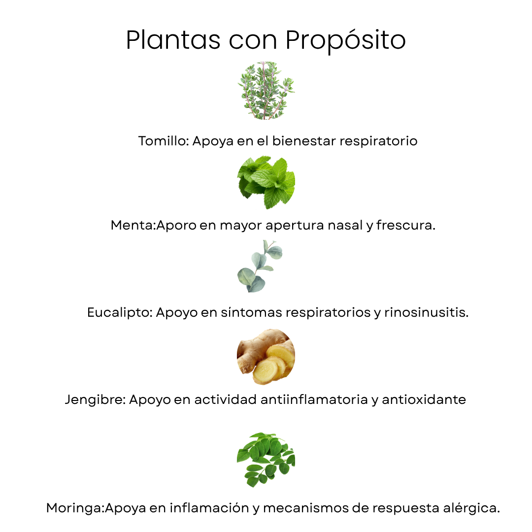 Kit Respiratorio