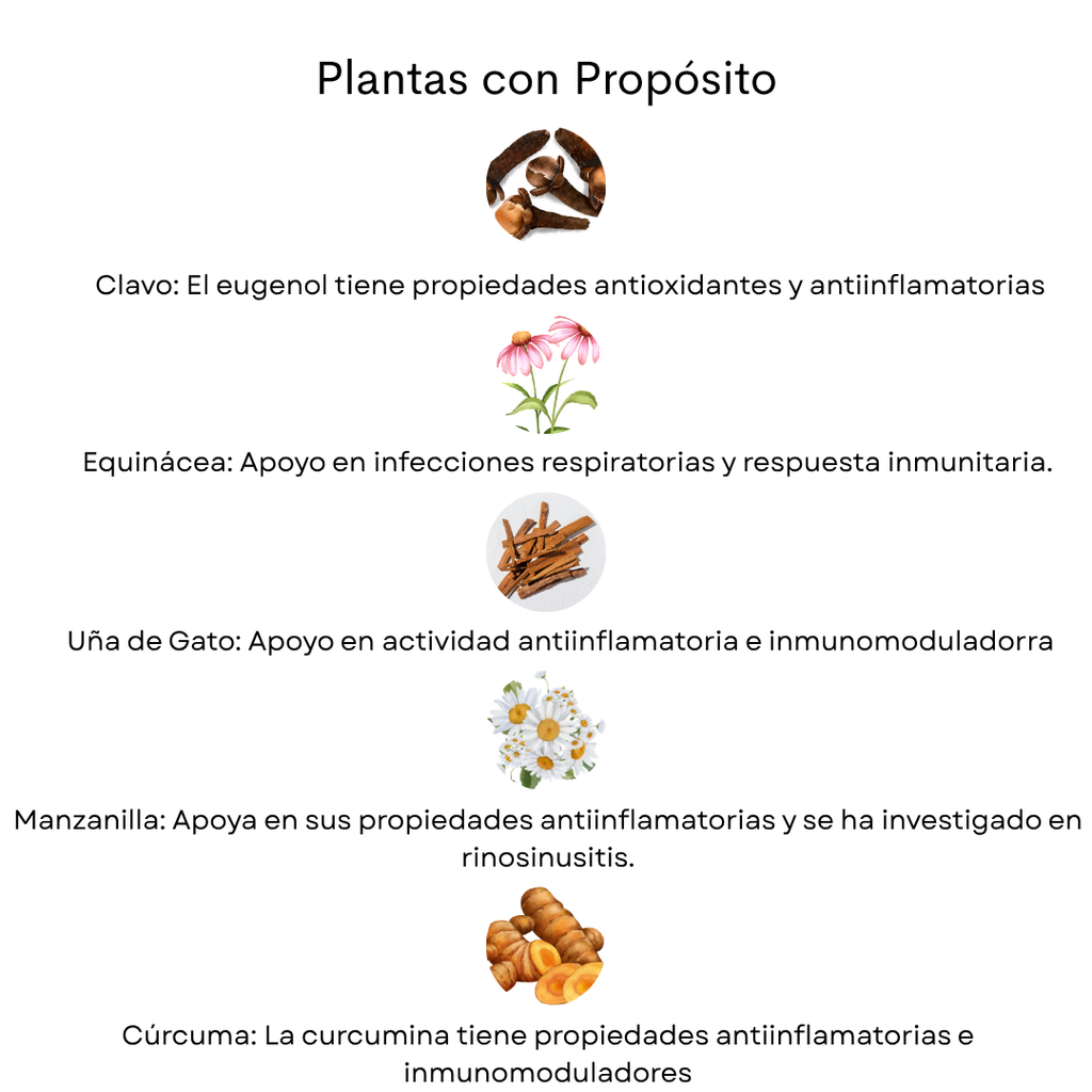 Kit Respiratorio