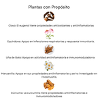 Kit Respiratorio