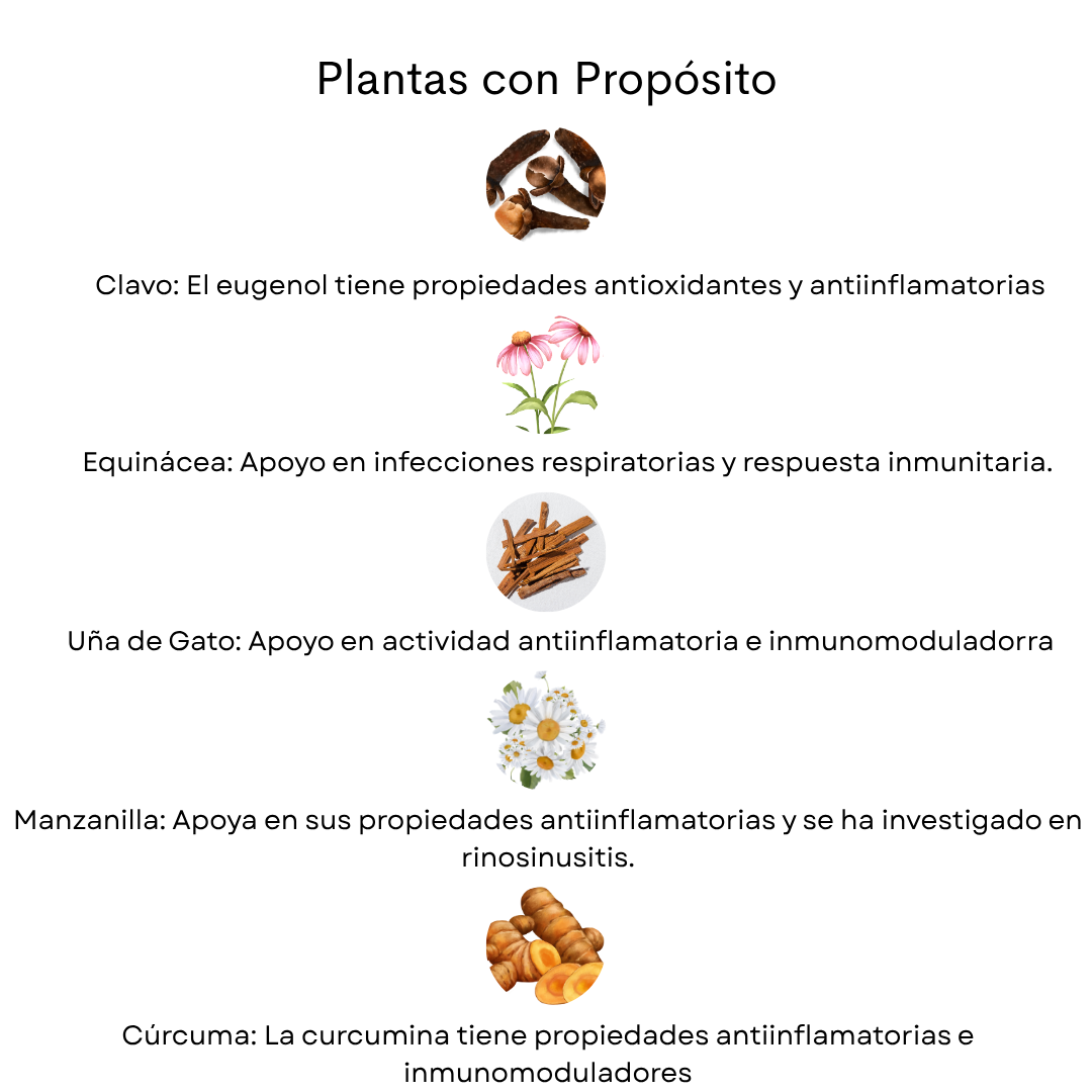 Kit Respiratorio