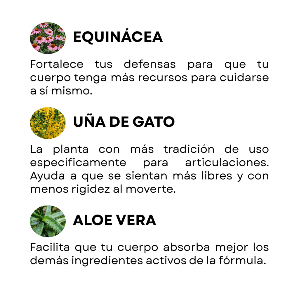Kit Articulaciones