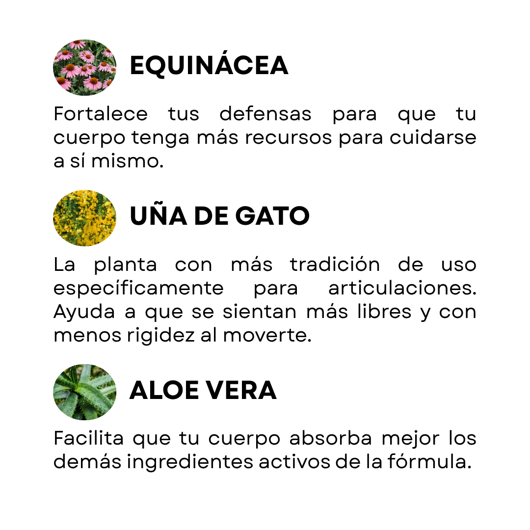 Kit Articulaciones