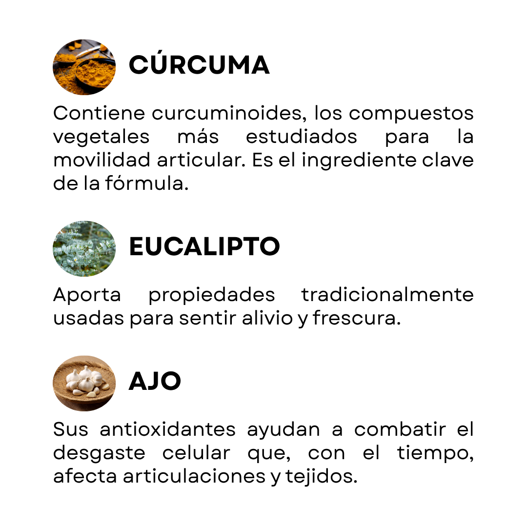 Kit Articulaciones