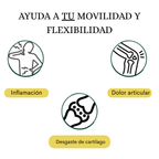 Kit Articulaciones