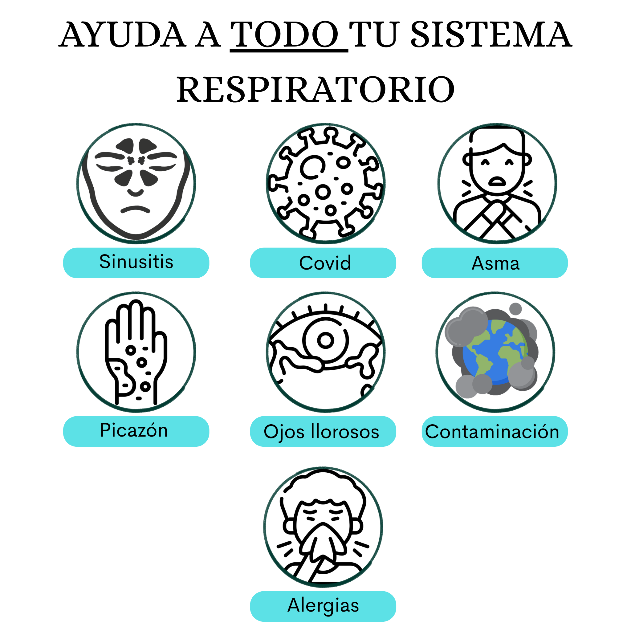 Kit Respiratorio - Doble Fórmula con 10 plantas medicinales para Alergias y Sinusitis