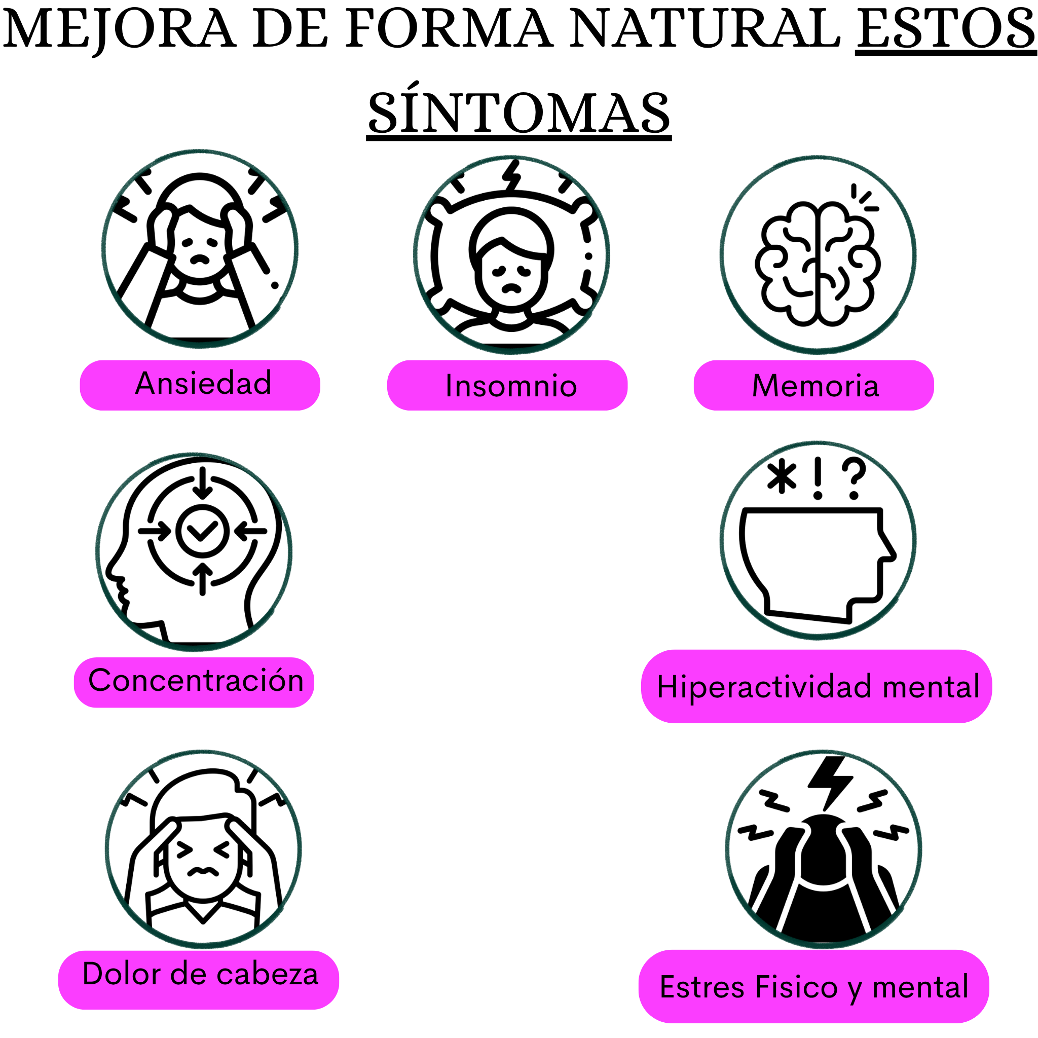 Kit Nervioso