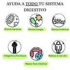 Kit Digestivo