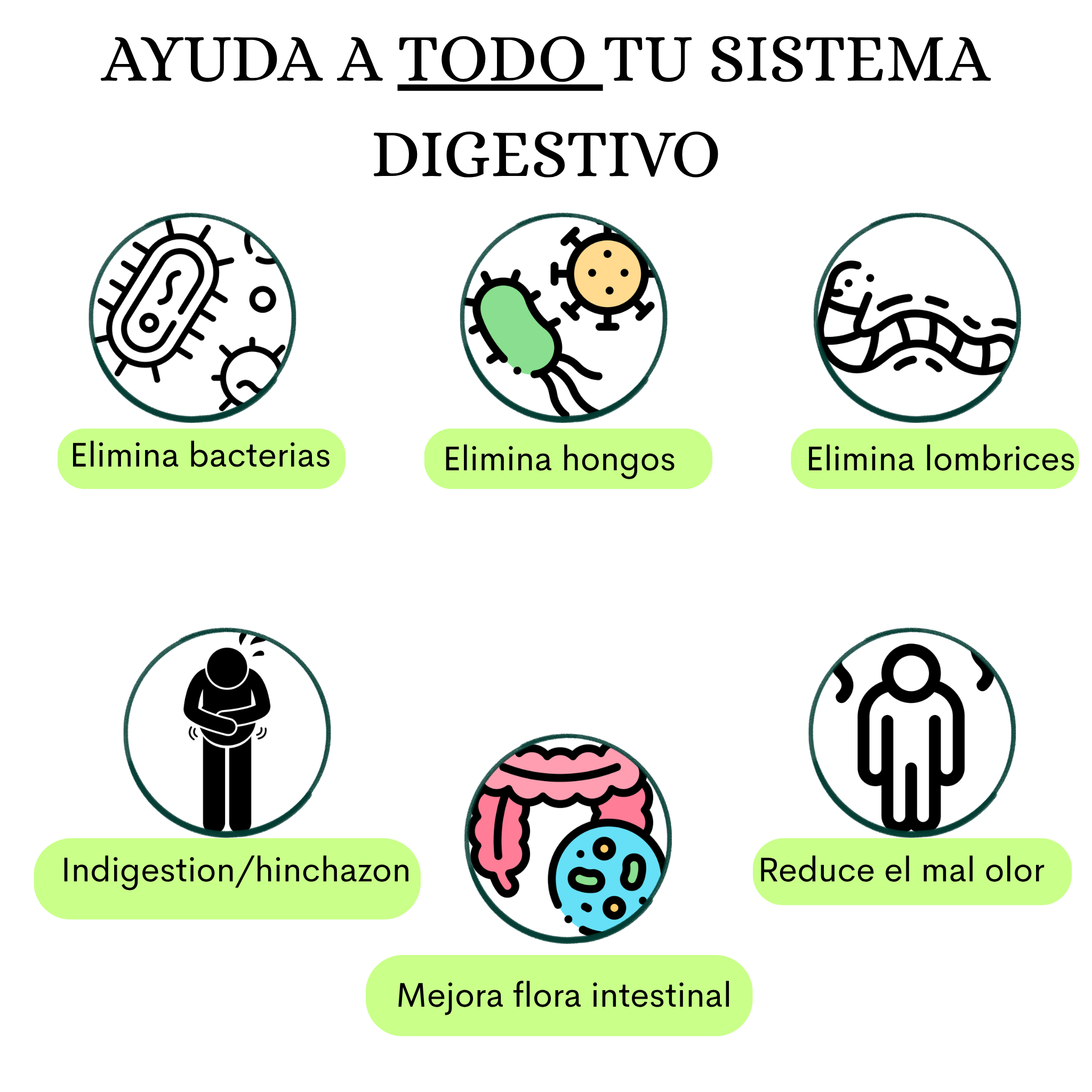 Kit Digestivo