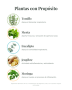 Kit Respiratorio contra alergias