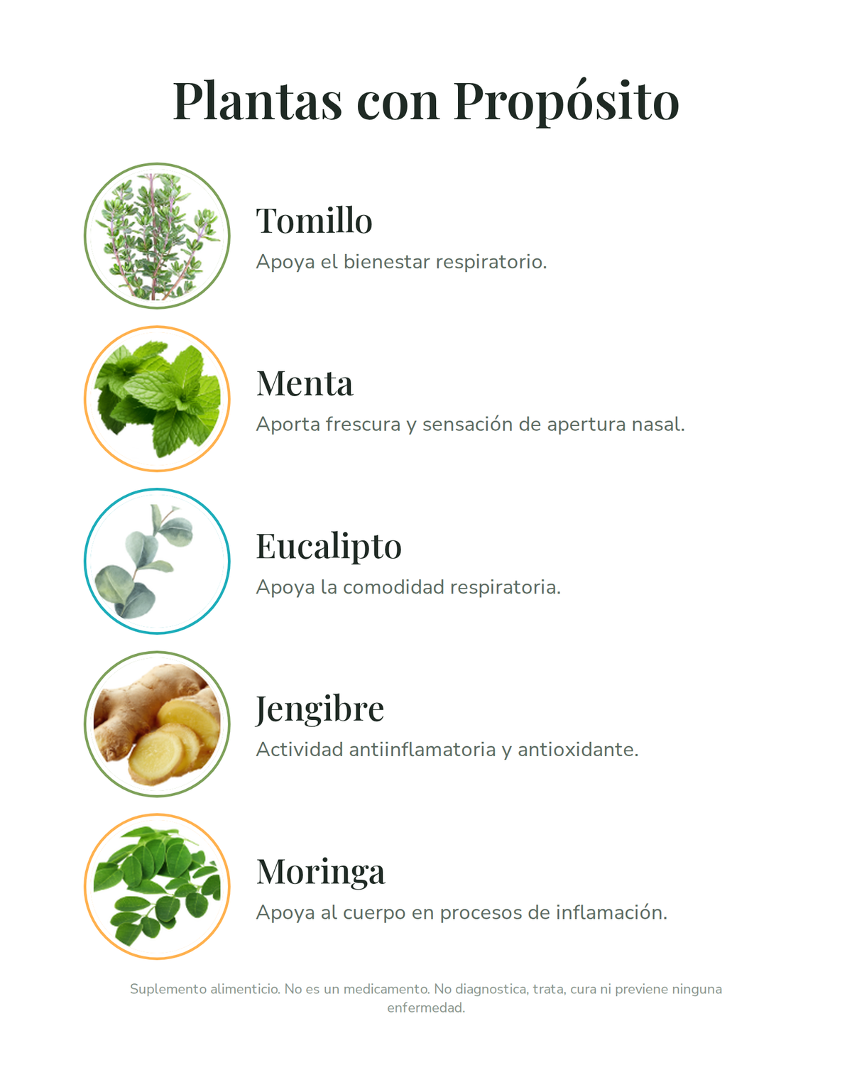 Kit Respiratorio contra alergias