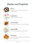 Kit Respiratorio contra alergias
